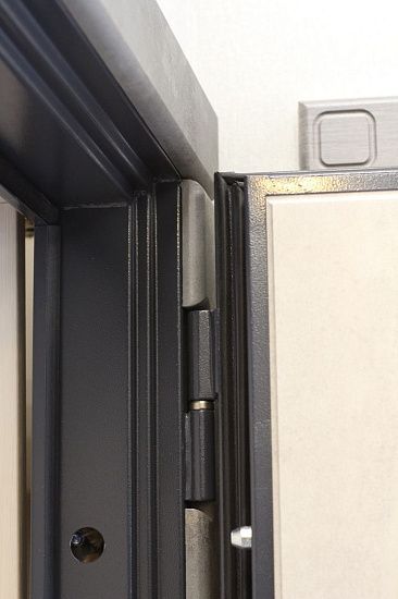 Входная дверь  