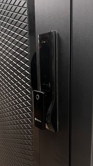 Входная дверь  