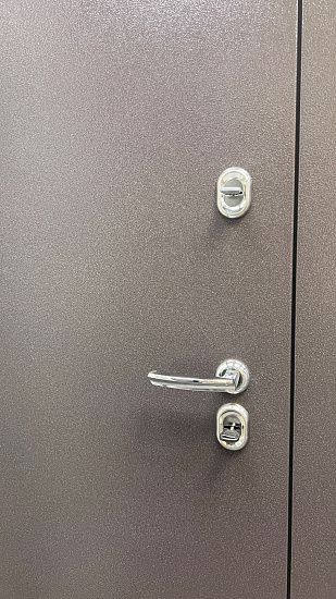 Входная дверь  